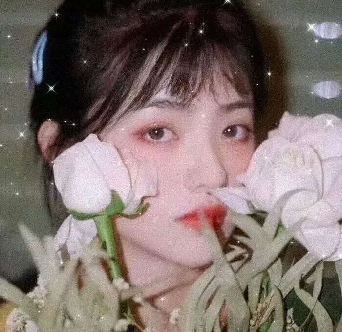 猴王与女妖 海报